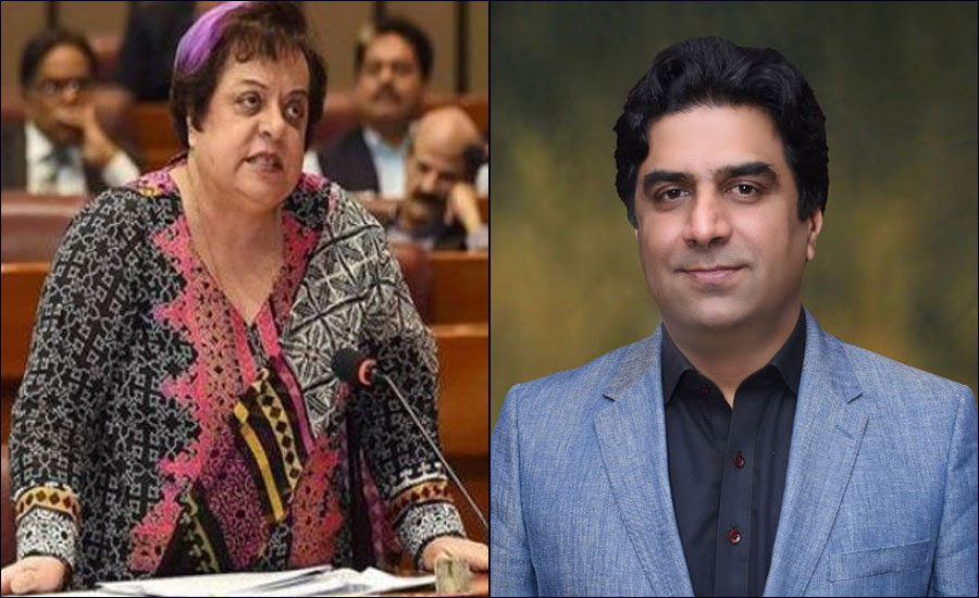 PTI's Ali Nawaz, Shireen Mazari exchange heated words over NA ruckus