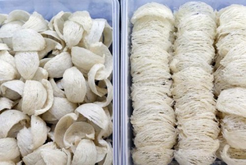 Two styles of cleaned bird's nest, Yan Zhan and Su Zhan await repacking at a processing plant in Kuala Lumpur