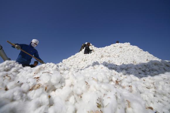 Top China cotton producer resists reforms in restive Xinjiang