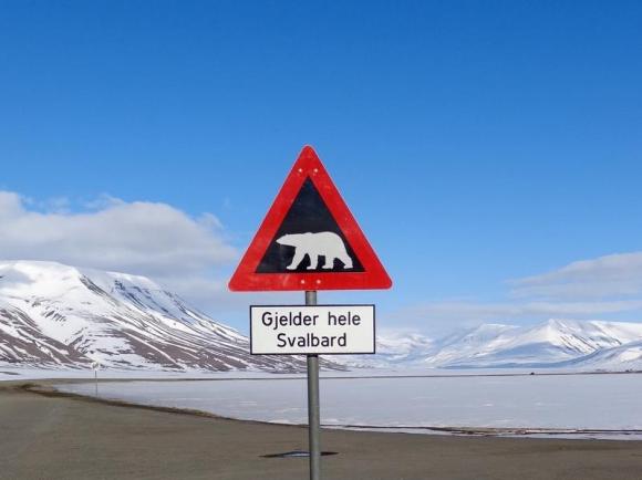 Arctic eclipse alert: hotels full, it's cold, polar bears prowl