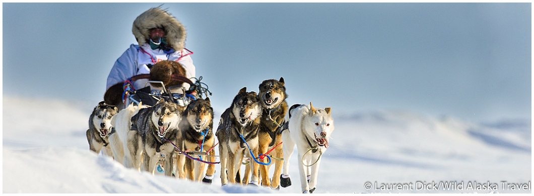 Alaska's famed sled-dog race begins with ceremonial run