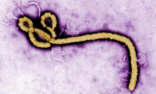 Guinea says two people tested positive for Ebola