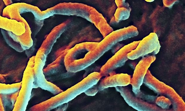 Sierra Leone's Kailahun district records first Ebola case in months 
