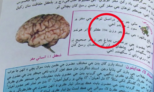 Gross errors revealed in textbooks prepared by Sindh Textbook Board
