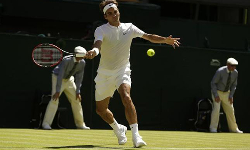 Federer and Kvitova feast on Wimbledon prey