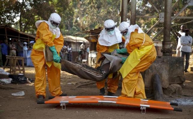 Global health leaders ask G7 for post-Ebola rapid response unit