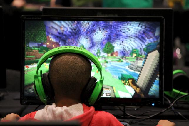 Minecraft celebrities draw record crowd to gaming