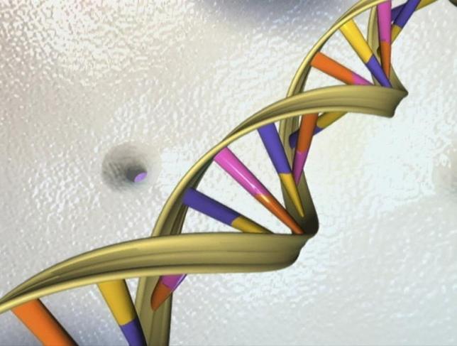 Gene therapy for deafness moves a few steps closer