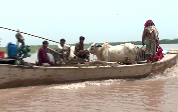 Flood hits Ghotki, Muzaffargarh villages; Death toll reaches seven