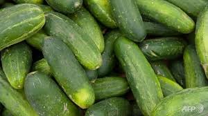 California company recalls cucumbers amid deadly salmonella outbreak