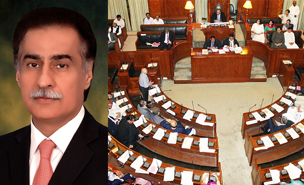 All institutions should work within their domain, says Speaker NA Ayaz Sadiq