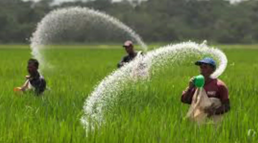 Punjab government announces cut in prices of fertilizers