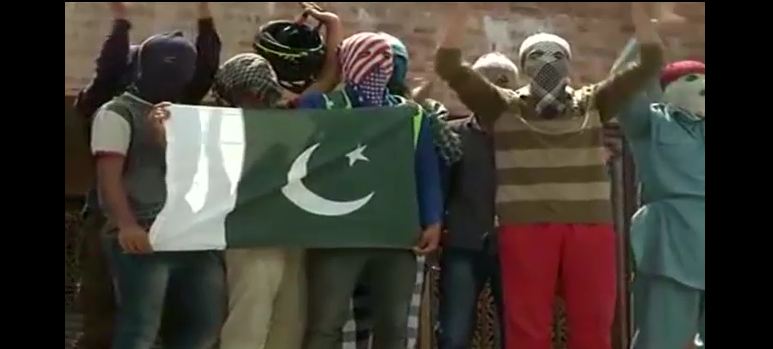 Kashmiris protest against 'segregated" colonies
