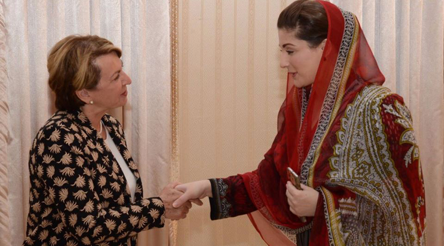 French ambassador calls on Maryam Nawaz