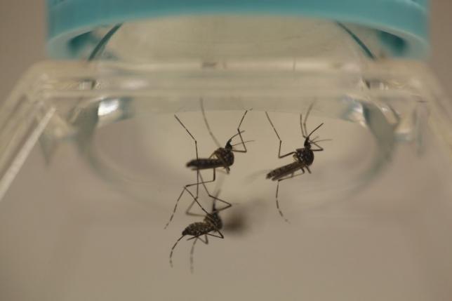 US researcher contracts Zika during experiment
