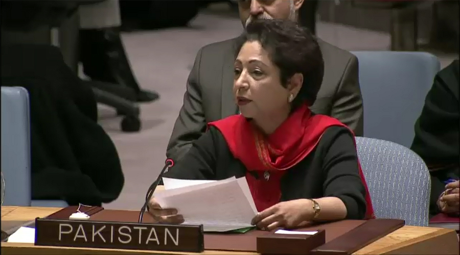 Afghanistan must end hurling baseless accusations on Pakistan, says Maleeha