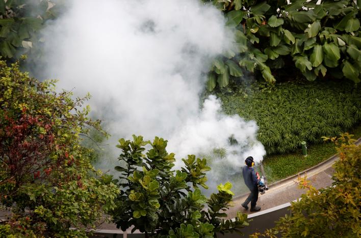 Asia outbreaks prompt question: Is all Zika dangerous?