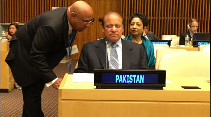 Developing countries including Pakistan bearing burden of refugees: PM