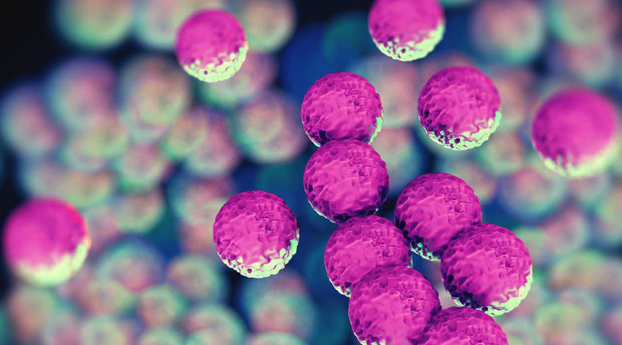 Chemicals in indoor dust tied to antibiotic resistance