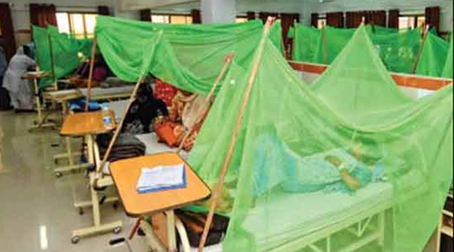 Six test positive for dengue in Muzaffarabad
