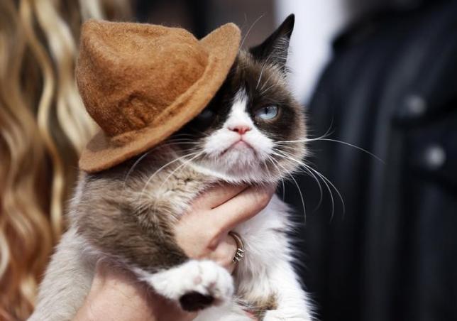 Grumpy Cat immortalized in wax, makes Broadway debut
