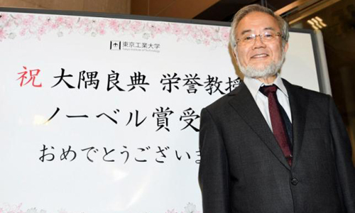Japanese scientist wins Nobel medicine prize for work on 'self-eating' cell mechanism