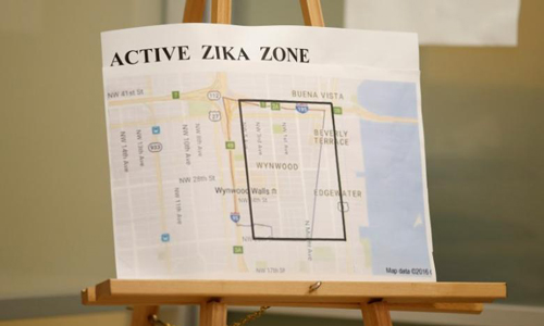 U.S. health officials create color-coded Zika zones in Florida