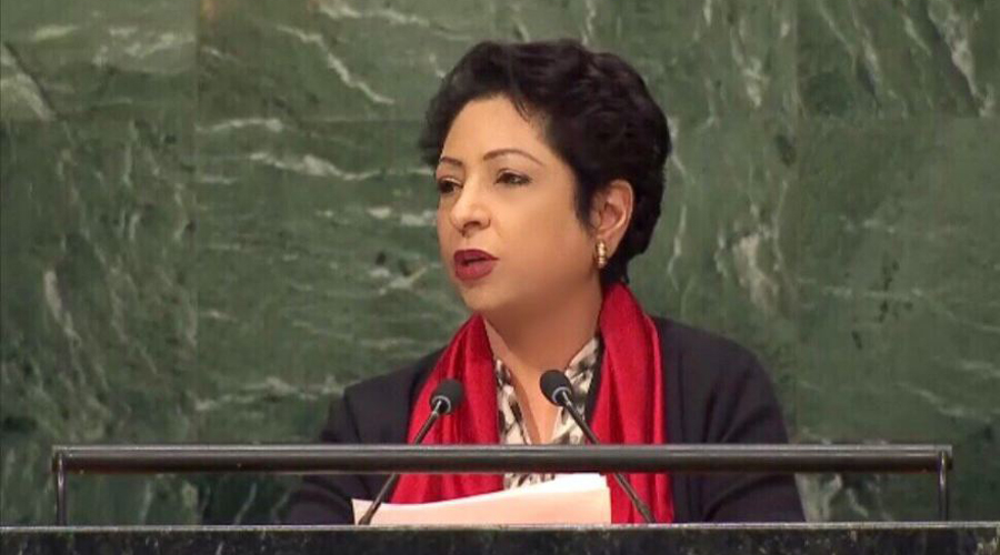 Pakistan supports expansion of non-permanent seats in SC: Maleeha Lodhi