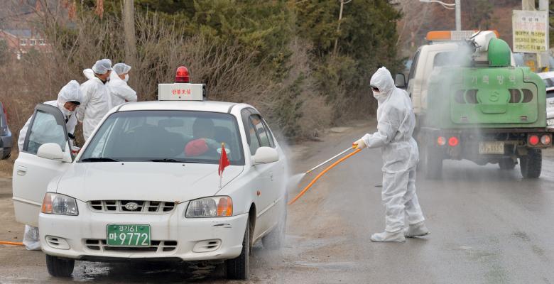 South Korea issues temporary nationwide standstill order to contain bird flu