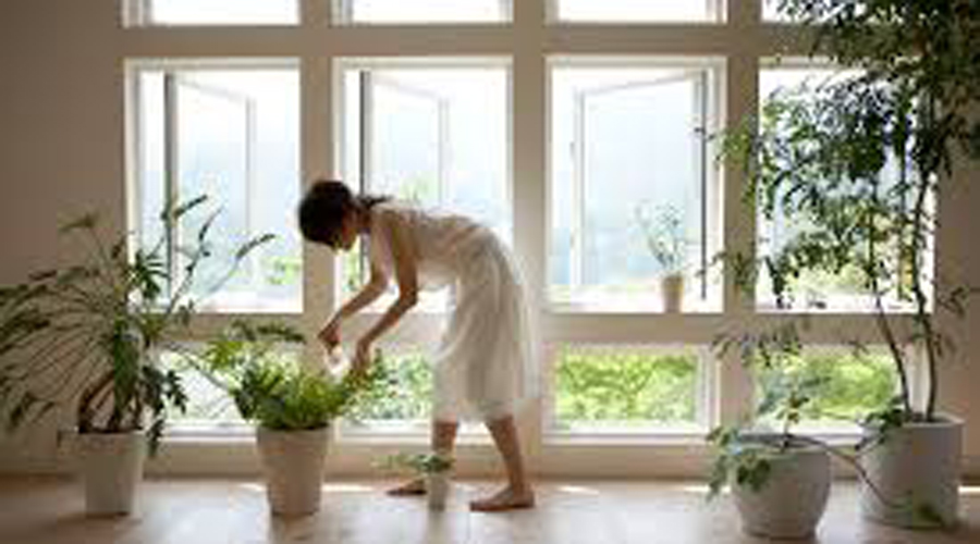 Clean indoor air as important as meds in controlling kids’ asthma