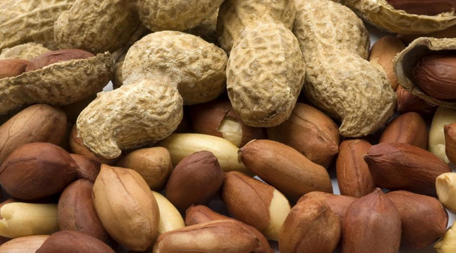 New guidelines: Introduce peanuts to infants early to prevent allergies