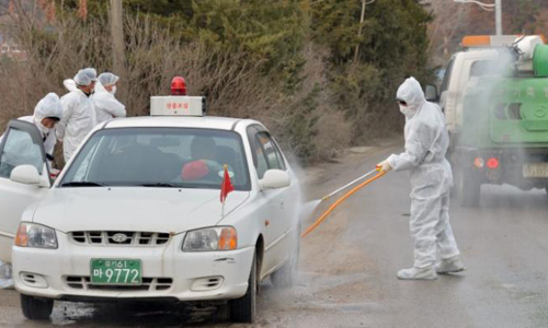 South Korea, Japan step up poultry cull to contain bird flu