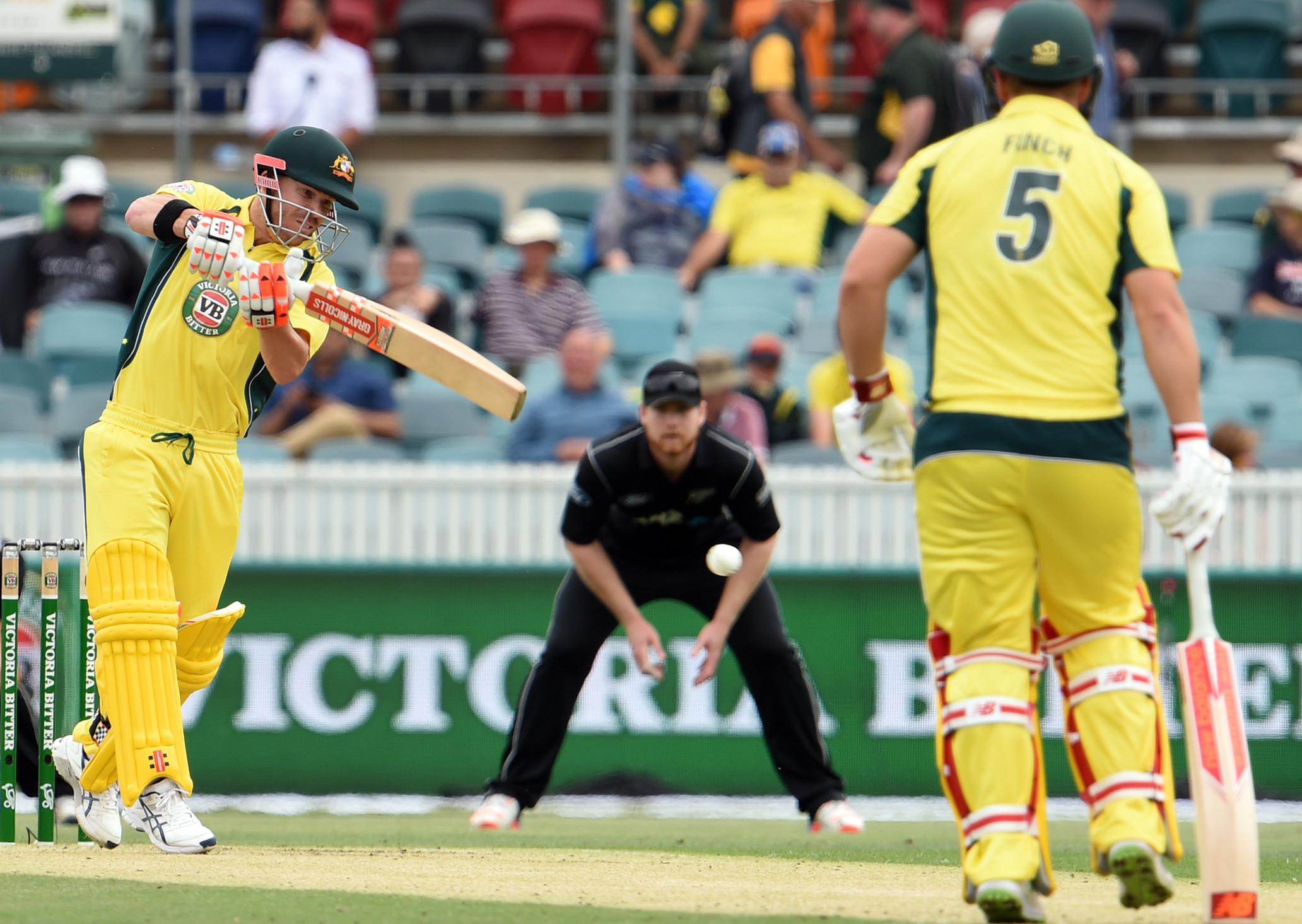 Six-ton Warner sees Australia past New Zealand to clinch series