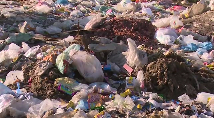 Chikungunya virus spreading fast due to garbage heaps in Karachi