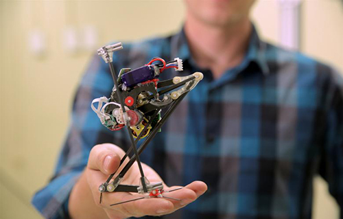 Little African primate's talents inspire leaping robot