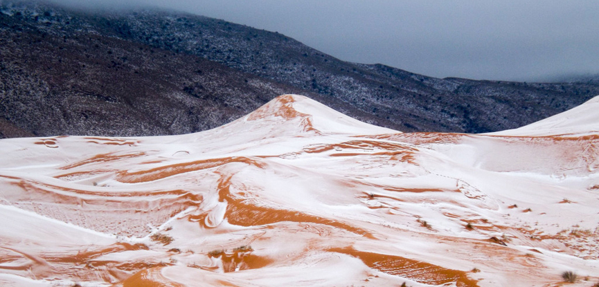 Snow falls in Sahara Desert for the first time in four decades