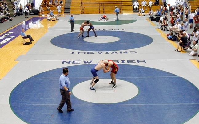 Iran will issue visas for US wrestlers