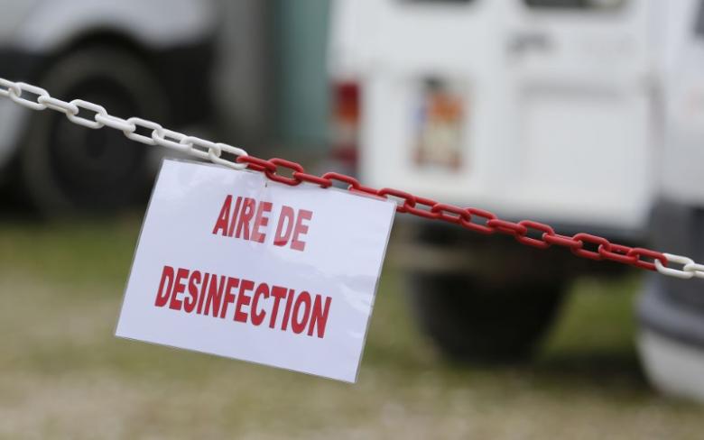 France detects possible bird flu outbreak on northern farm