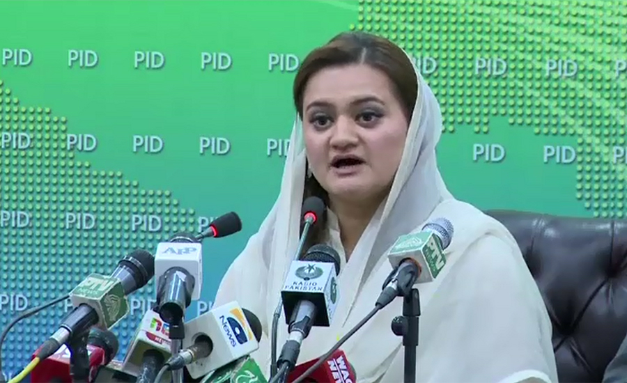 Opponents should return looted money to national exchequer: Marriyum Aurangzeb