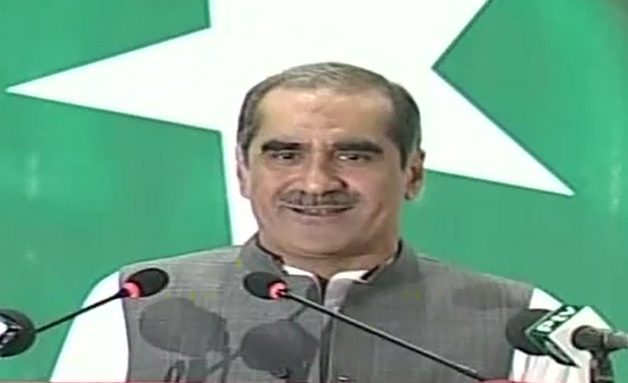 Jackals run when lions come out of their pride: Saad Rafique