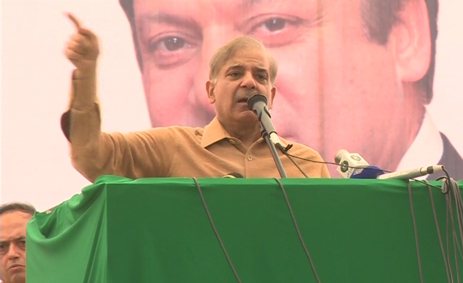 PML-N to sweep all political parties in next elections: Punjab CM