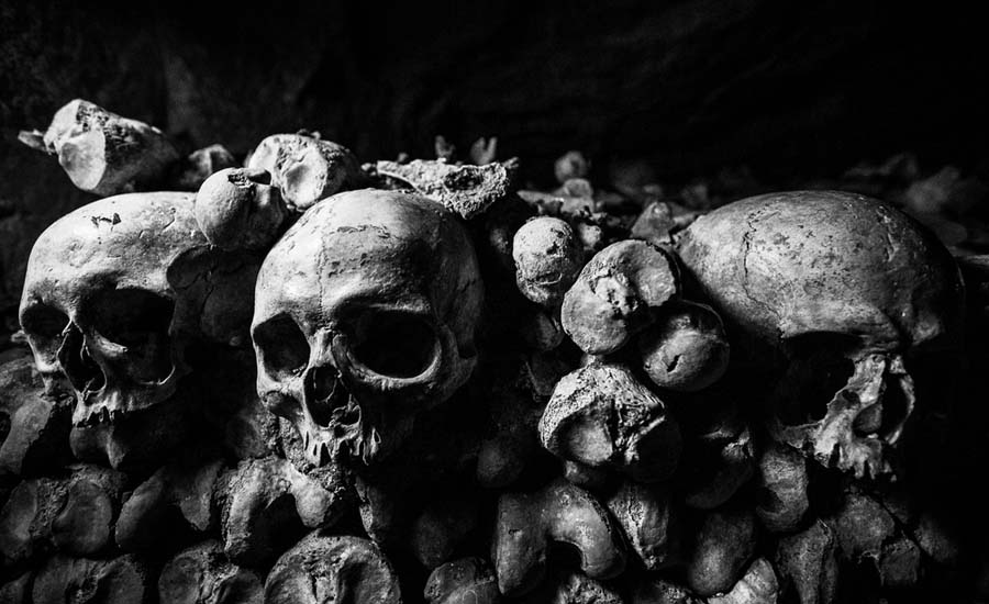 Mexico drug war investigators unearth 47 more skulls in mass graves