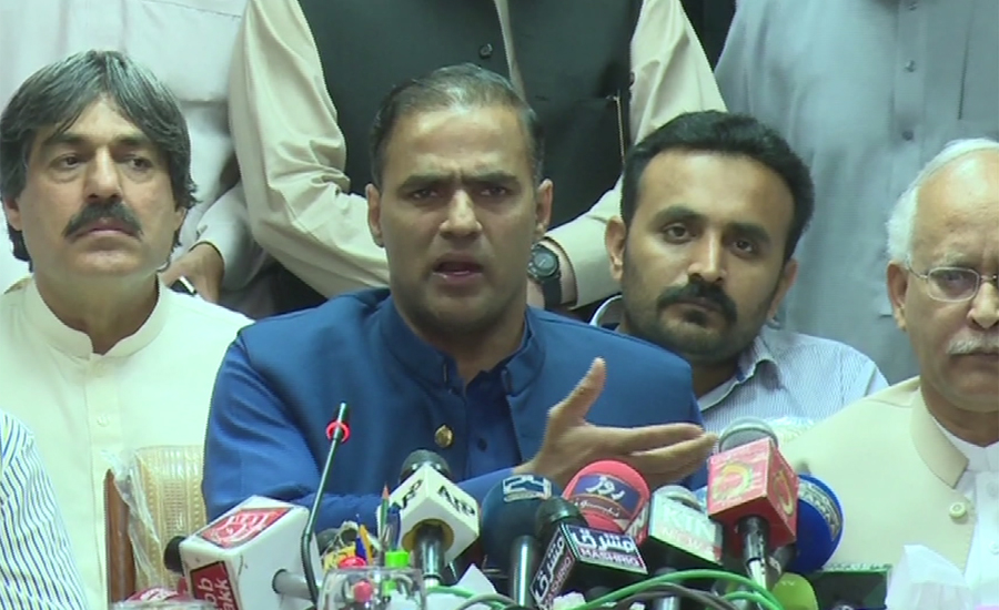 Abid Sher Ali vows to make country loadshedding-free