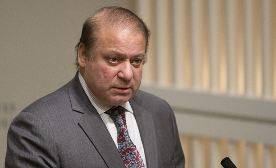 Pakistan has rendered sacrifices in fight against terrorism: PM