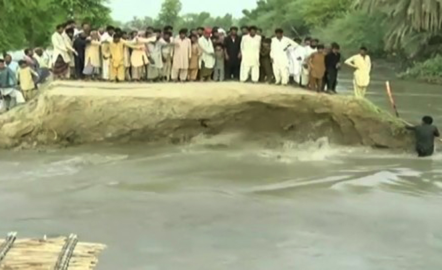Crops, gardens inundated by canal breach in Multan