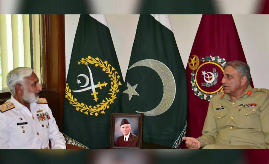 Chief of Naval Staff Admiral Zakaullah pays farewell visit to COAS