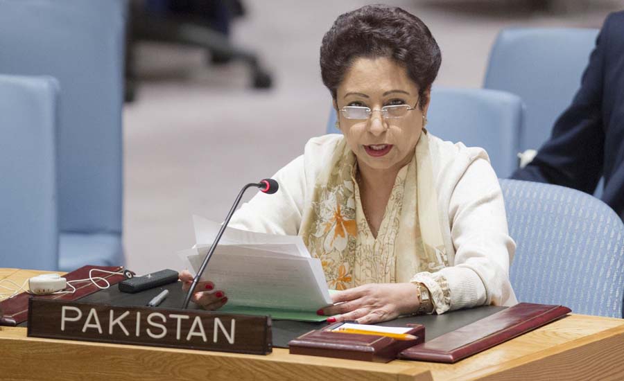 Equitable representation primary force behind UNSC reform efforts: Maleeha