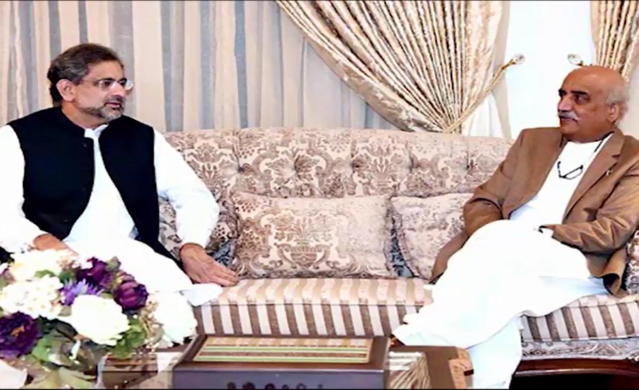 PM Abbasi seeks PPP help in passage of delimitation bill