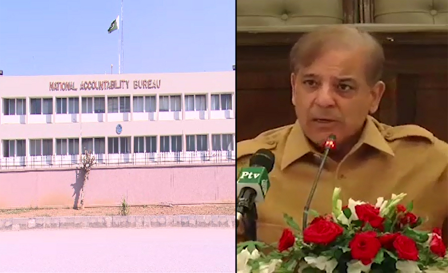 Shahbaz Sharif terms NAB most corrupt institution