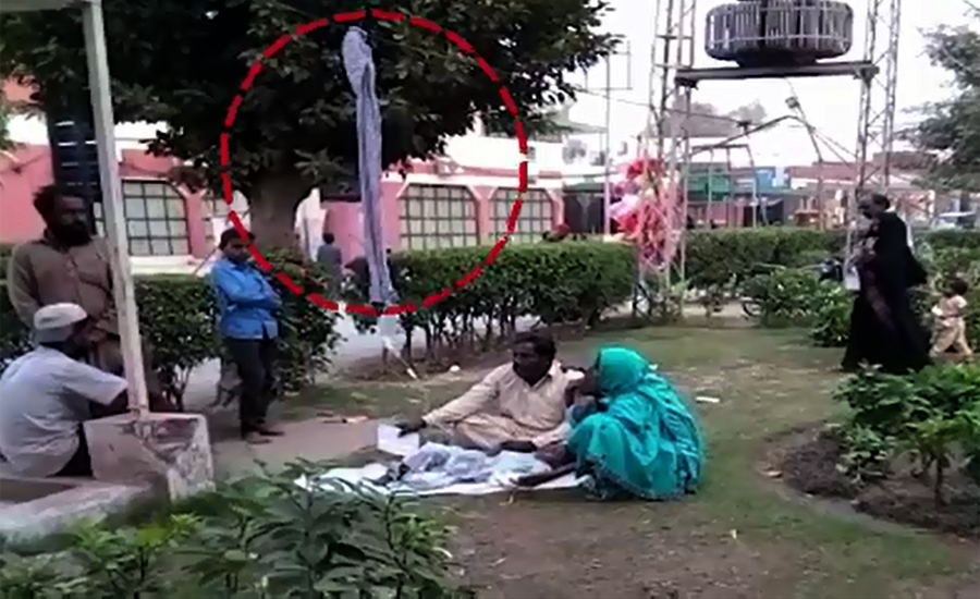 Intravenous drip hanging with a tree exposes ‘good governance’